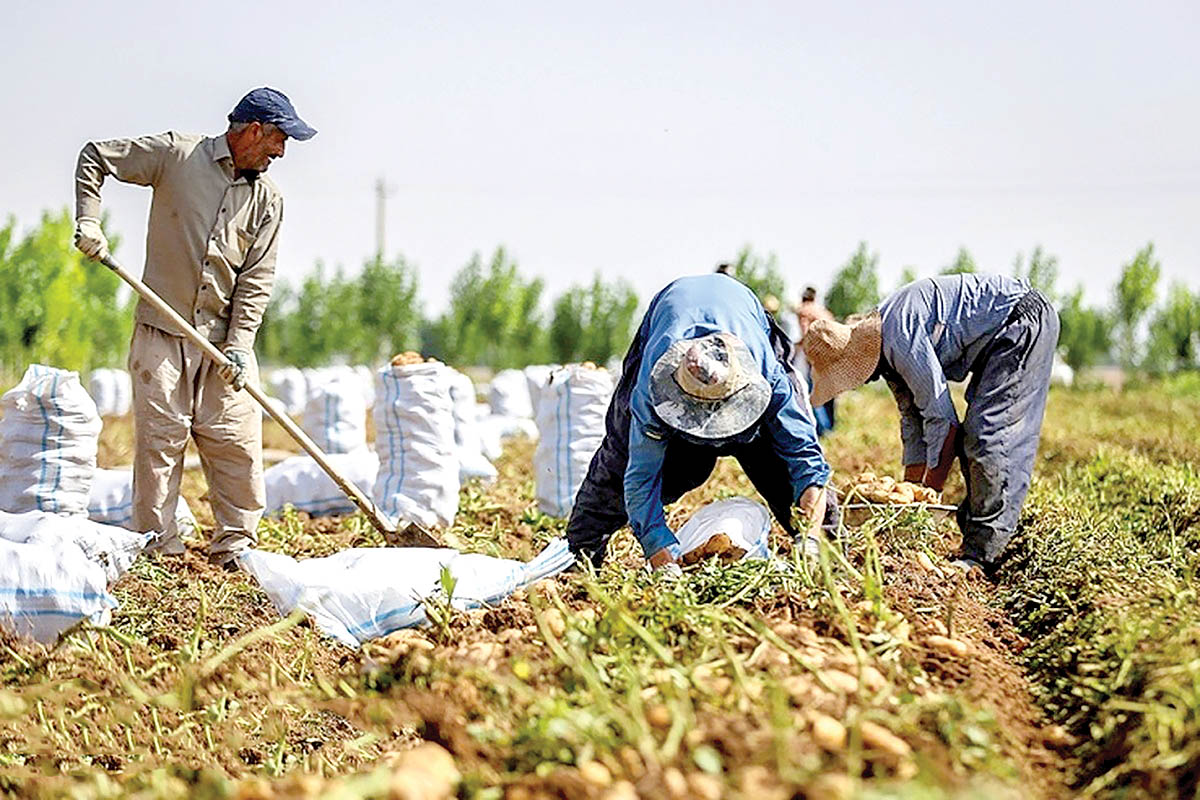 بریکس به ابتکار کشاورزی ایران چراغ سبز نشان داد